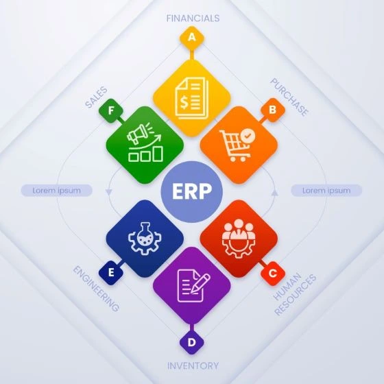 ERP Integration Services